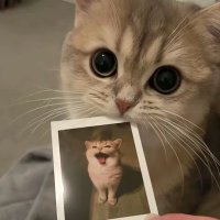 bibe5 (@tivelc) 's Twitter Profile