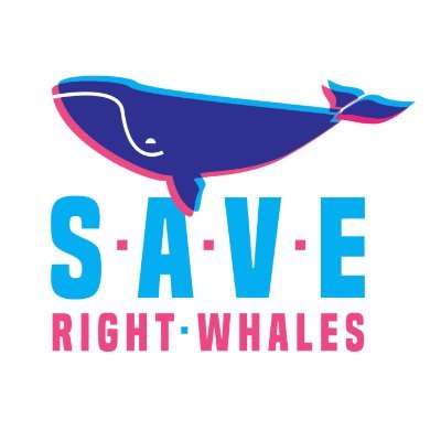 The Save Right Whales Coalition is a nonpartisan group dedicated to protecting the critically endangered North Atlantic right whale on the East Coast.