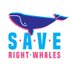 Save Right Whales Coalition (@SaveNARW) Twitter profile photo