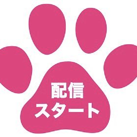 nekothemovie's profile picture. 🎦映画「NEKO THE MOVIE」がAmazon Prime Videoにて 配信スタート✨ ⏩ https://t.co/mRGbY37uFL 🌈 🎦映画をより楽しむため☟webでも☟ #ネコザムービー #nekothemovie