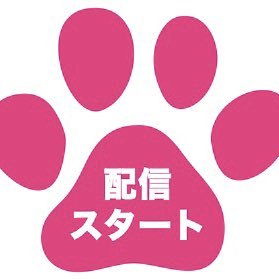 🎦映画「NEKO THE MOVIE」がAmazon Prime Videoにて 配信スタート✨ ⏩ https://t.co/xl2CgA6u4c より NEKO THE MOVIE で検索🌈 🎦※Amazonプライム会員は追加料金なしで視聴できます。 🌈映画をより楽しむため☟歴史的背景をインスタでも☟