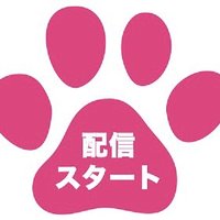 NEKOTHEMOVIE (@nekothemovie) 's Twitter Profile