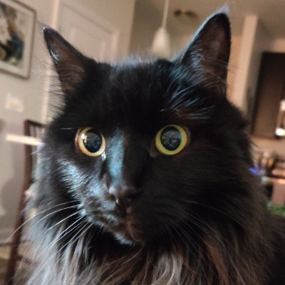 Poe1829's profile picture. Proving that too much common sense can be boring.