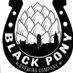 Black Pony Brewing Company (@BlackPonyBrewCo) Twitter profile photo