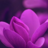 Gwen (@gwen19433464) 's Twitter Profile Photo Gwen (@gwen19433464) 's Twitter Profile Photo