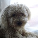 Alan Weir - @AlanWeir4 - Twitter