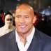 The rock (@therock_inc) Twitter profile photo The rock (@therock_inc) Twitter profile photo