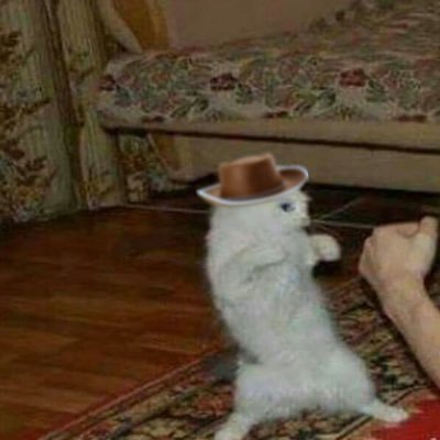 Nilson_Kr's profile picture. the next lone star
