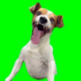 uwu_un1's profile picture. 