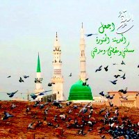 مُحِبٌ لِحَـبِيبِ الله مُحَمَّـد(ﷺ) (@mohblihabibllah) 's Twitter Profile