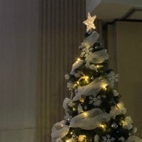 shoya♡ (@hatcmin) 's Twitter Profile