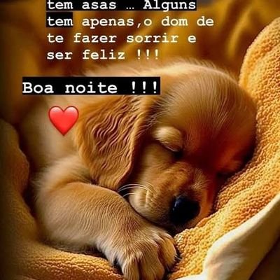 LucasSi73566783's profile picture. 