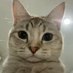 Super Didi. (@superdidiiiii) Twitter profile photo Super Didi. (@superdidiiiii) Twitter profile photo