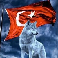 🇹🇷 fırtına Osmanlı 🇹🇷(@Rte_SE_53) 's Twitter Profile Photo