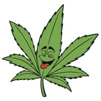 Aaron Phillips (@cannicope) 's Twitter Profile