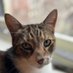 Peter Ohlin (@peter_ohlin) Twitter profile photo Peter Ohlin (@peter_ohlin) Twitter profile photo