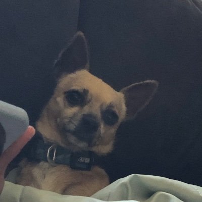 Johnsonlong788's profile picture. 