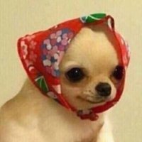 ์ํธ๋ฆฌ (@poorriii) 's Twitter Profile Photo ์ํธ๋ฆฌ (@poorriii) 's Twitter Profile Photo