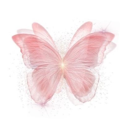 ‎ 𑁍𓉳 ₊˚⊹ 아름다운 나비 요정 εїз ˚♡ ⋆｡˚