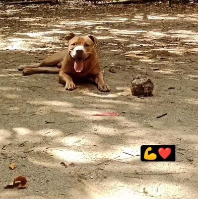 Daniel_souza00's profile picture. ⚽🍁🎧🎶🎮