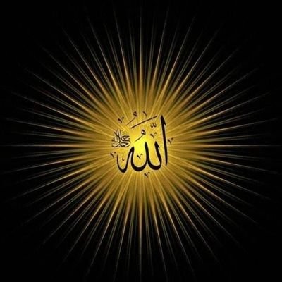 rinafio12393575's profile picture. 