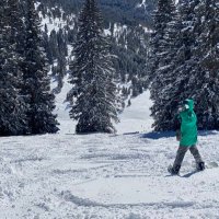 Disciplined Gambling (@cappernapper) 's Twitter Profile Photo