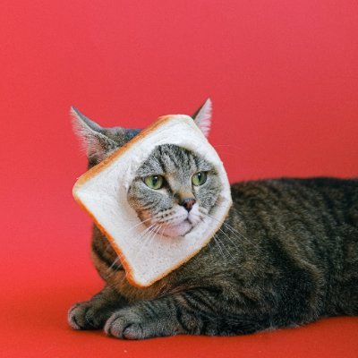 tuesdayweread's profile picture. Thinking about thinking