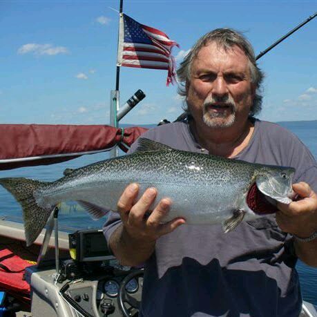 Vietnam Veteran..working on retirement.