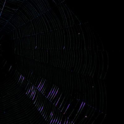 biolumetech's profile picture. computer graphics