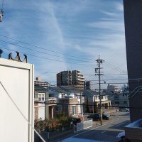 明🌈夢の旅人💐 (@adywebmaster) 's Twitter Profile