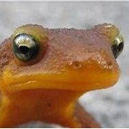 JohnLockeLives's profile picture. Husband, Father, Christian, Fiscal Conservative, Doesn't suffer fools,  Science Teacher, part time minister, animal lover, avid gardener. Enjoys fun and wit