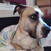 Mello (@mello90210) 's Twitter Profile