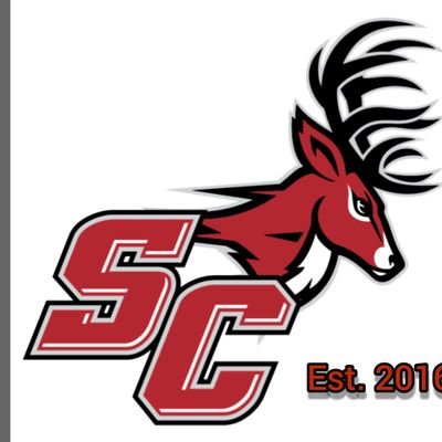 SCStagsbaseball Profile