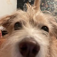 🥞.wav (@qricounpinto) 's Twitter Profile
