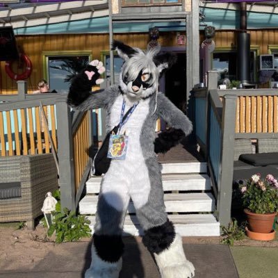 Fursuiter from Finland