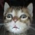 :p (@midhitscan) Twitter profile photo