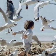 said (@naser611alex) 's Twitter Profile