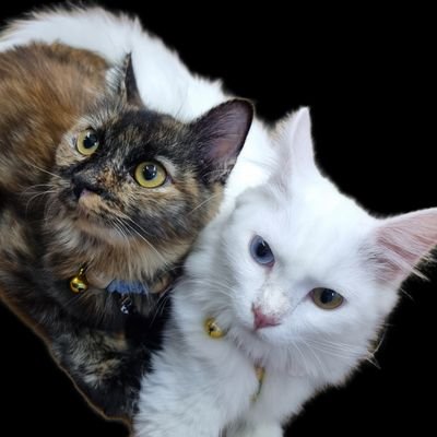 ardliann's profile picture. Time saving is life saving