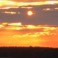 Joe Fedorovich (@joefedorovich) 's Twitter Profile