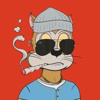 Crypto enthusiast