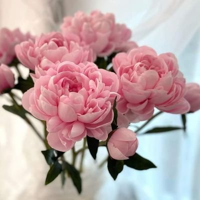 اللهم إنا نسألك الفردوس الأعلى من الجنة من غير حساب ولا سابقة عذاب لى ولأأولادى وأسرتى والمؤمنين والمسلمين ليوم الدين عدد خلقك ورضا نفسك وزنة عرشك ومداد كلماتك