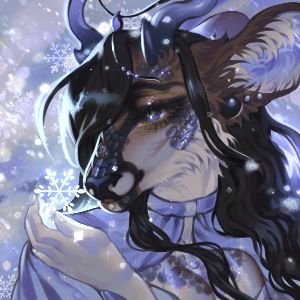 Xylotolさんのプロフィール画像