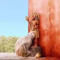 Ram Eshwarnath (@reshwarnath) 's Twitter Profile