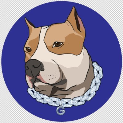Top G, $G is a memecoin in Binance Smart Chain that aims to takeover and ignite the BSC space once again. Inspired by Andrew Tate's pitbull dog.