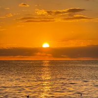 しーーー (@stitch316) Twitter profile photo