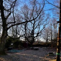 Forest School @ Goytre Fawr Primary (@fsgoytre) 's Twitter Profile