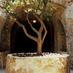 Forestiere Gardens (@undrgrndgardens) Twitter profile photo Forestiere Gardens (@undrgrndgardens) Twitter profile photo