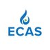 ECAS (@ECAS_World) Twitter profile photo