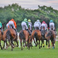 DC PRO 🐎 (@revistadcpro) 's Twitter Profile Photo DC PRO 🐎 (@revistadcpro) 's Twitter Profile Photo
