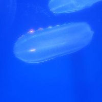 てる (@6lzuqpydq9qa47k) 's Twitter Profile